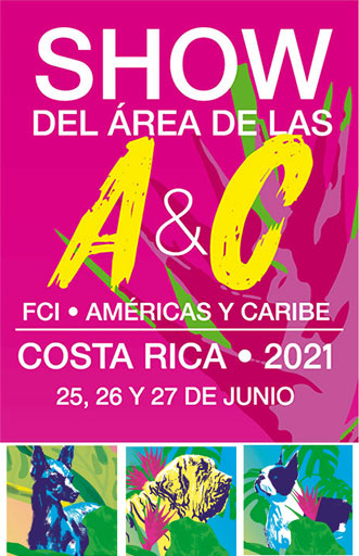 Show Américas & Caribe 2021